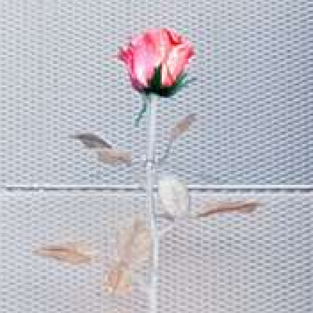 flower_facade.jpg