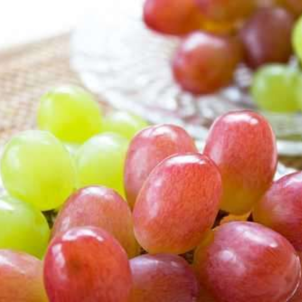 shutterstock_84111058.jpg