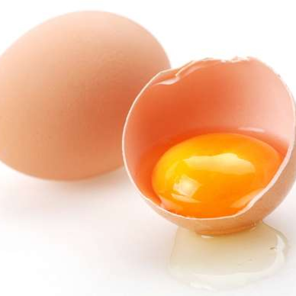 egg.jpg