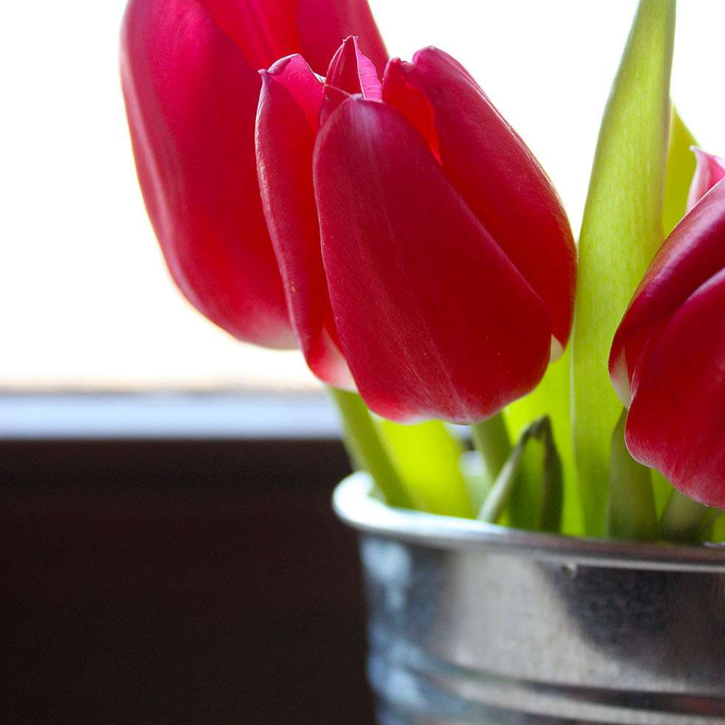 flowers.jpg