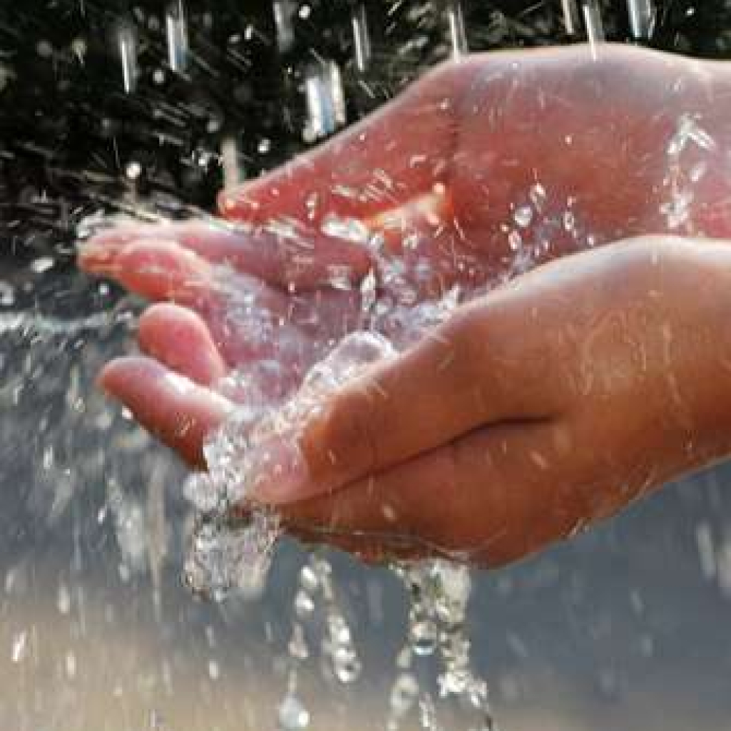 shutterstock_4295737.jpg