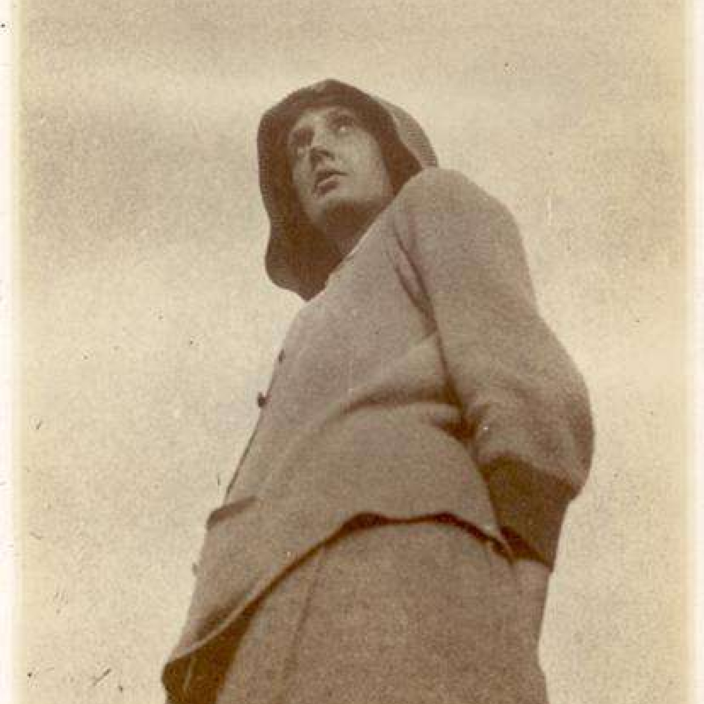 vwoolf1.jpg