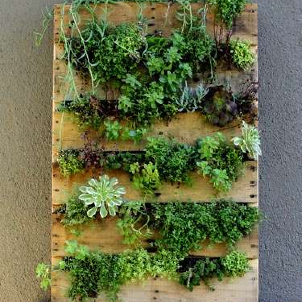 wall-garden2.jpg