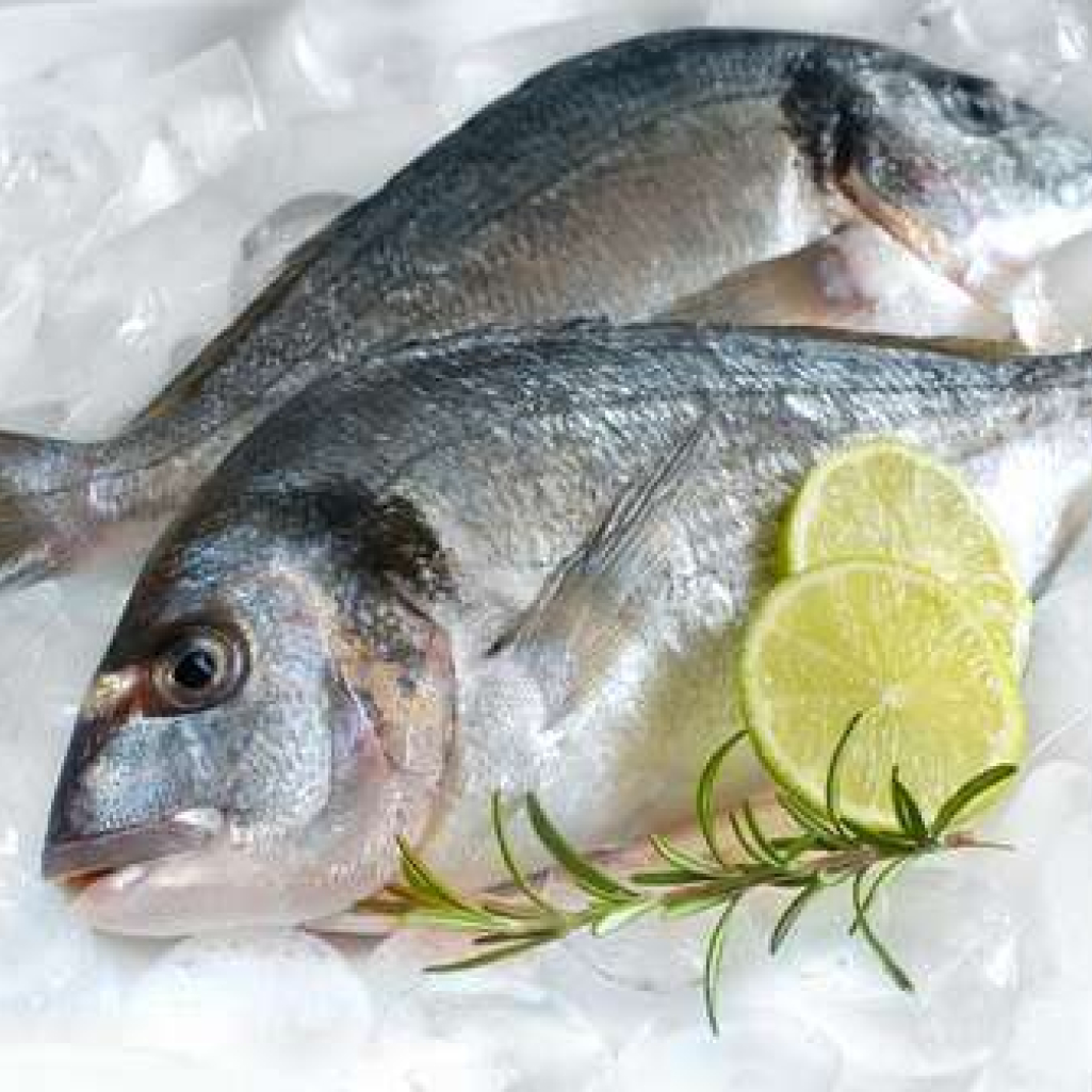 fresh_fish.jpg