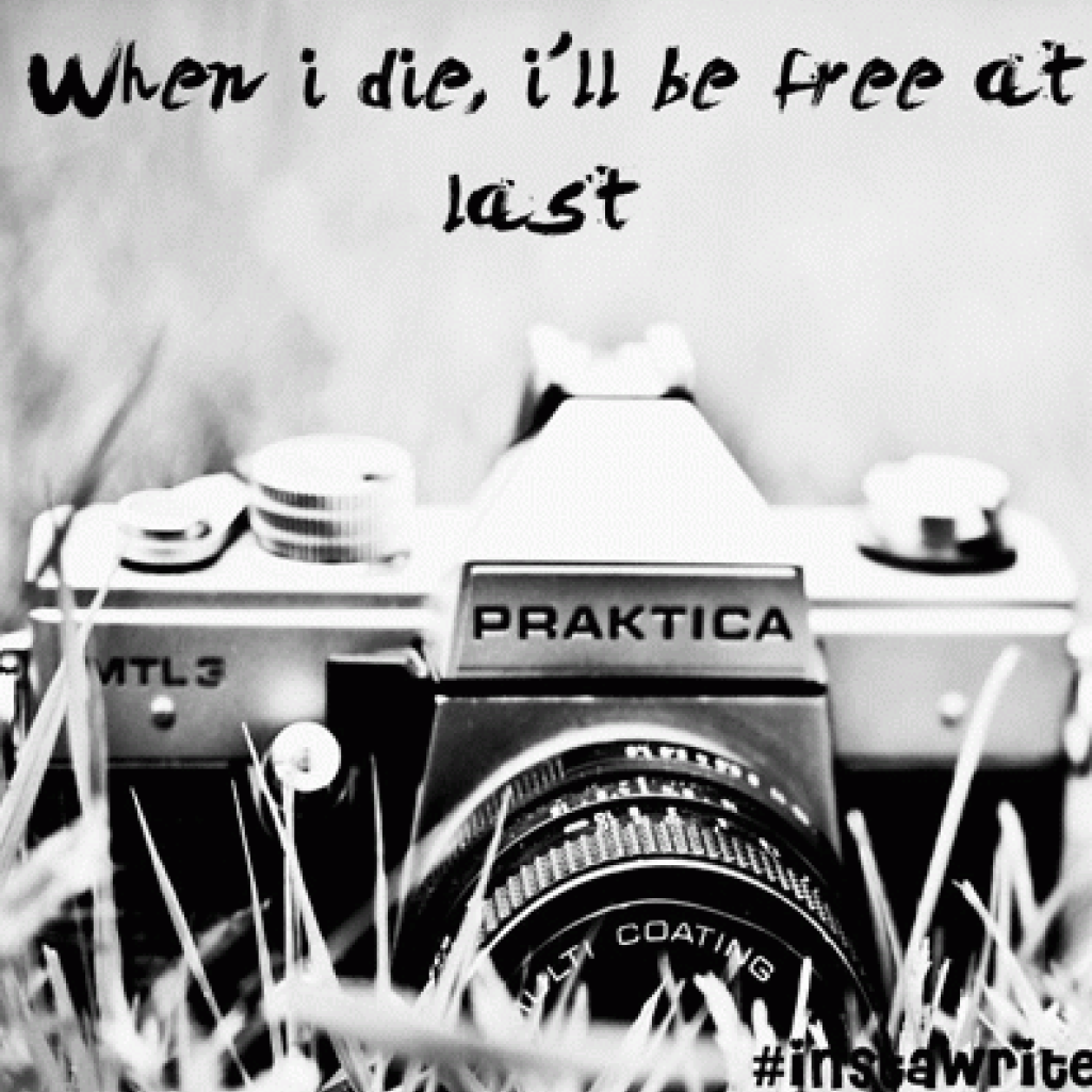 photo1.png