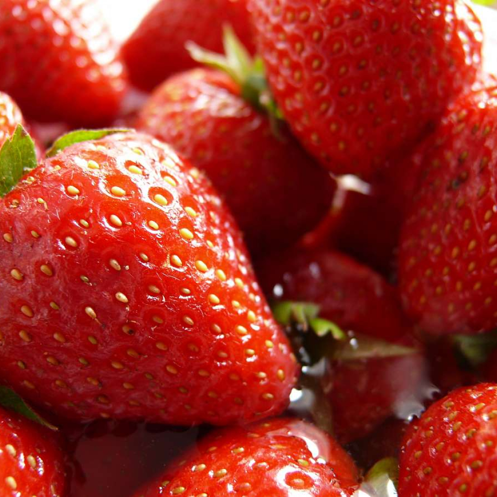 strawberrys.jpg