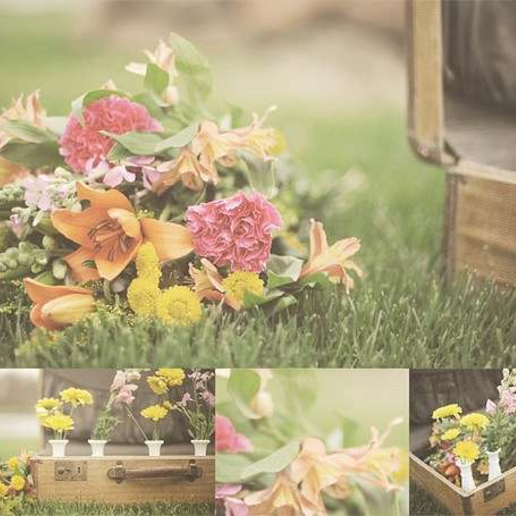 flowers.jpg