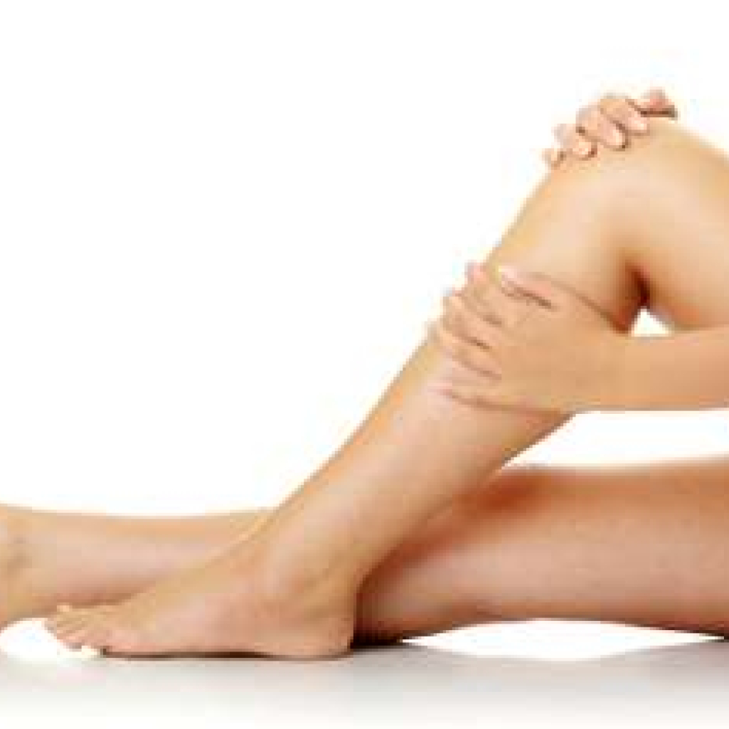 LegsBodyLG.jpg