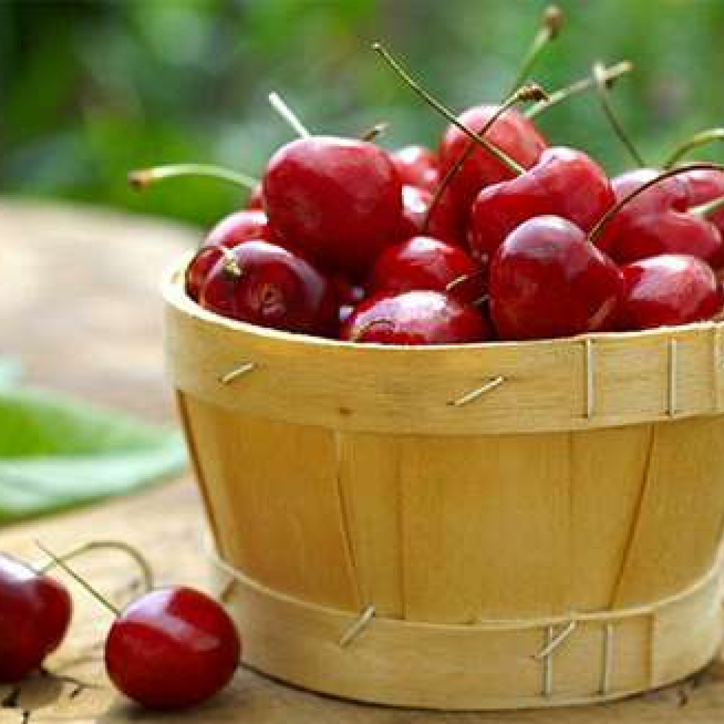 red-cherries.jpg