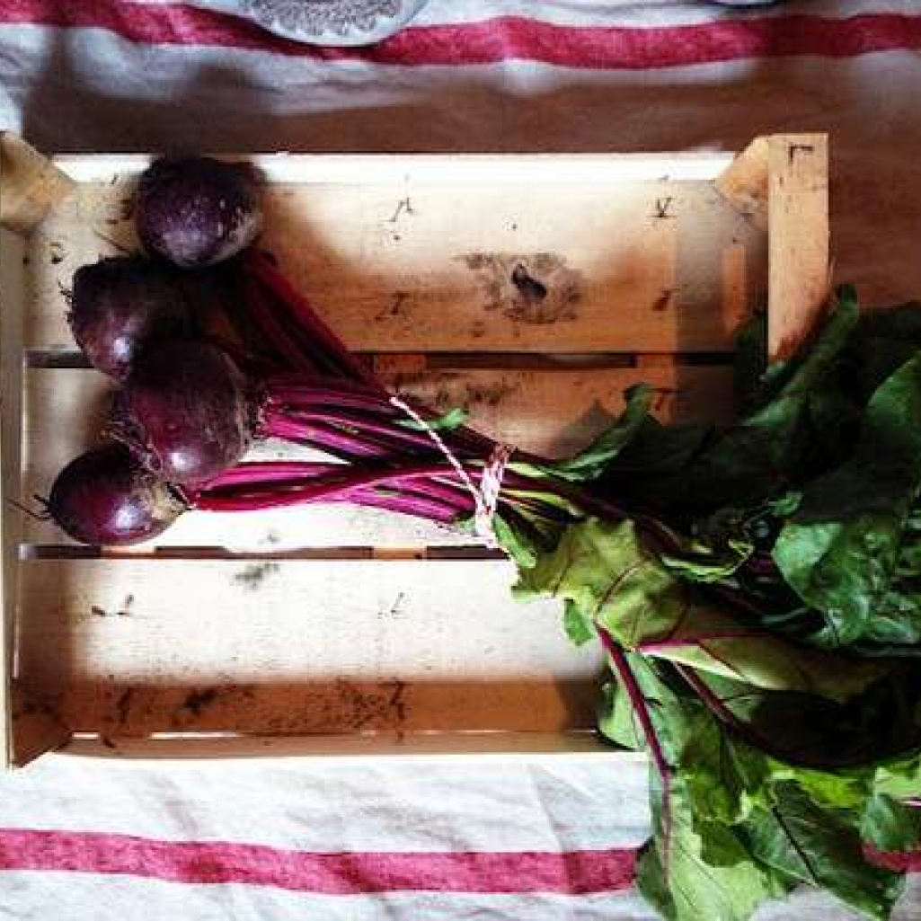 beetroot.jpg