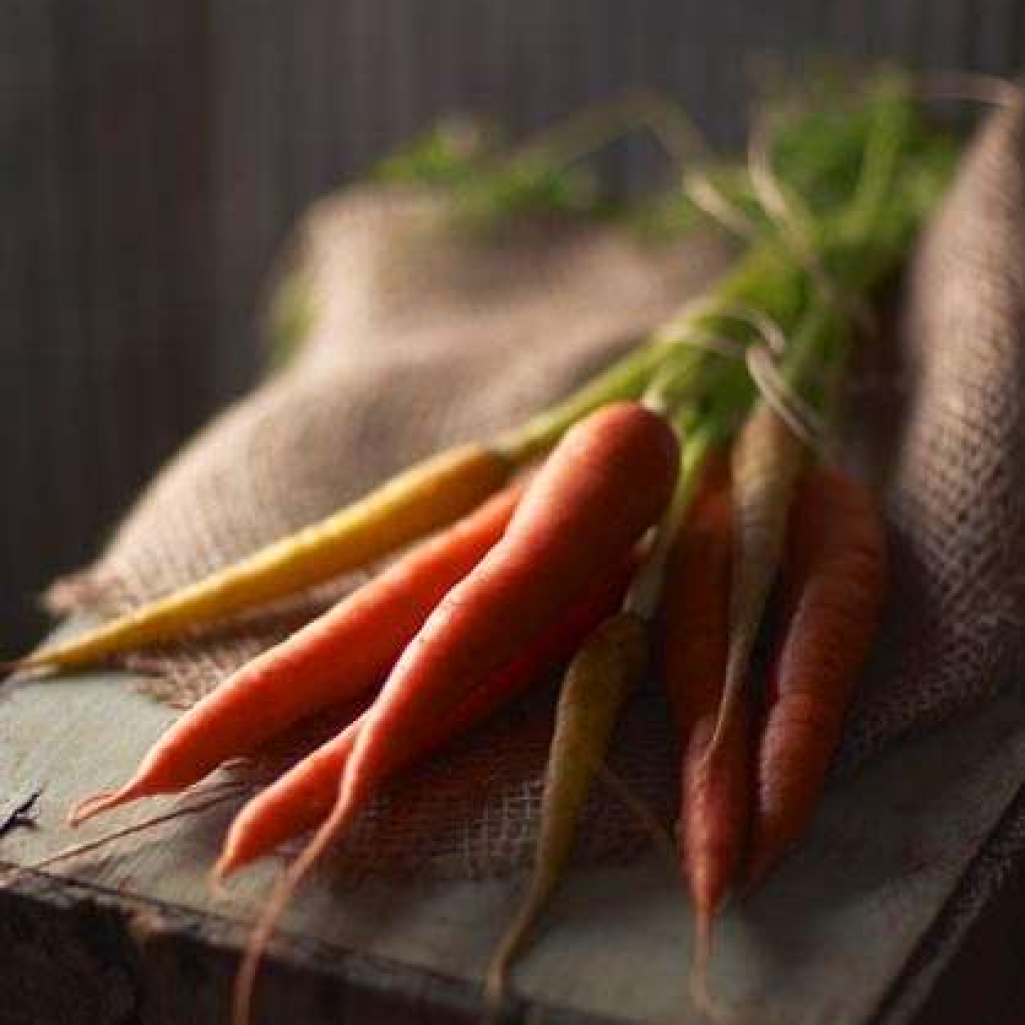 carrots1.jpg