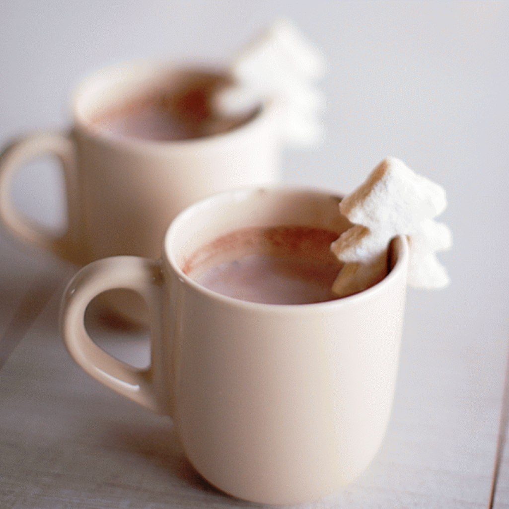 79ideas_winter_cookies_radostina_photography.png