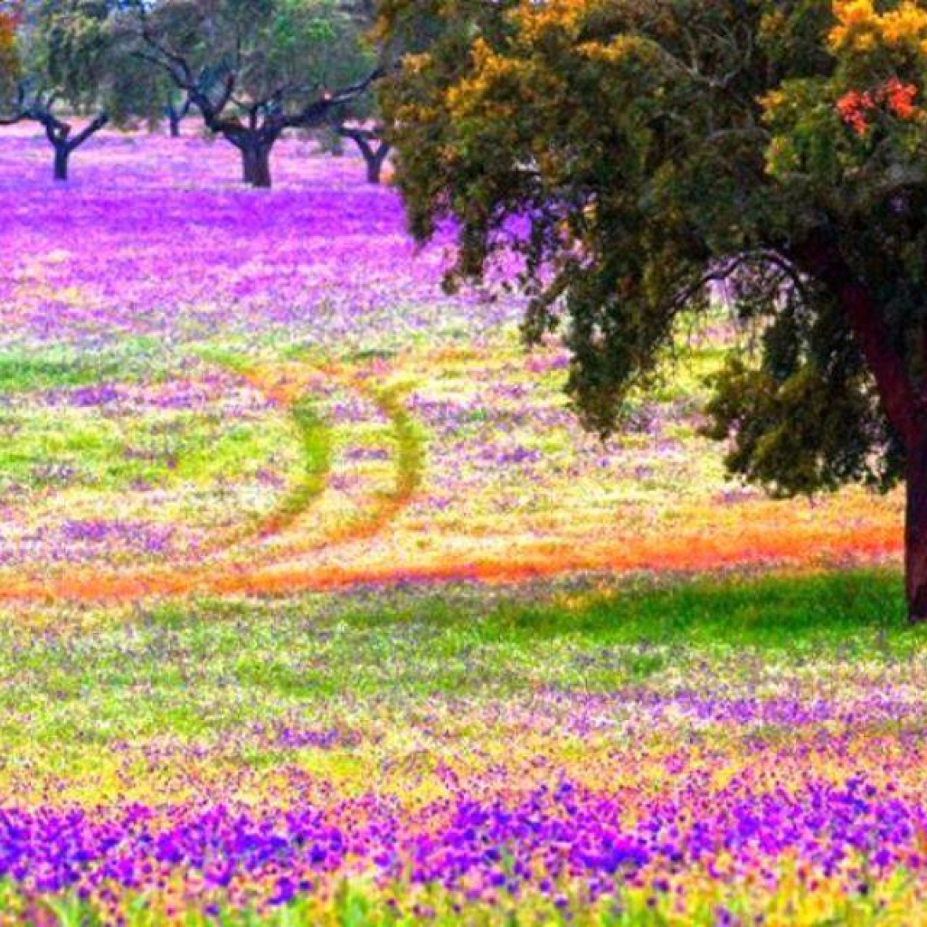 Alentejo-Portugal1.jpg