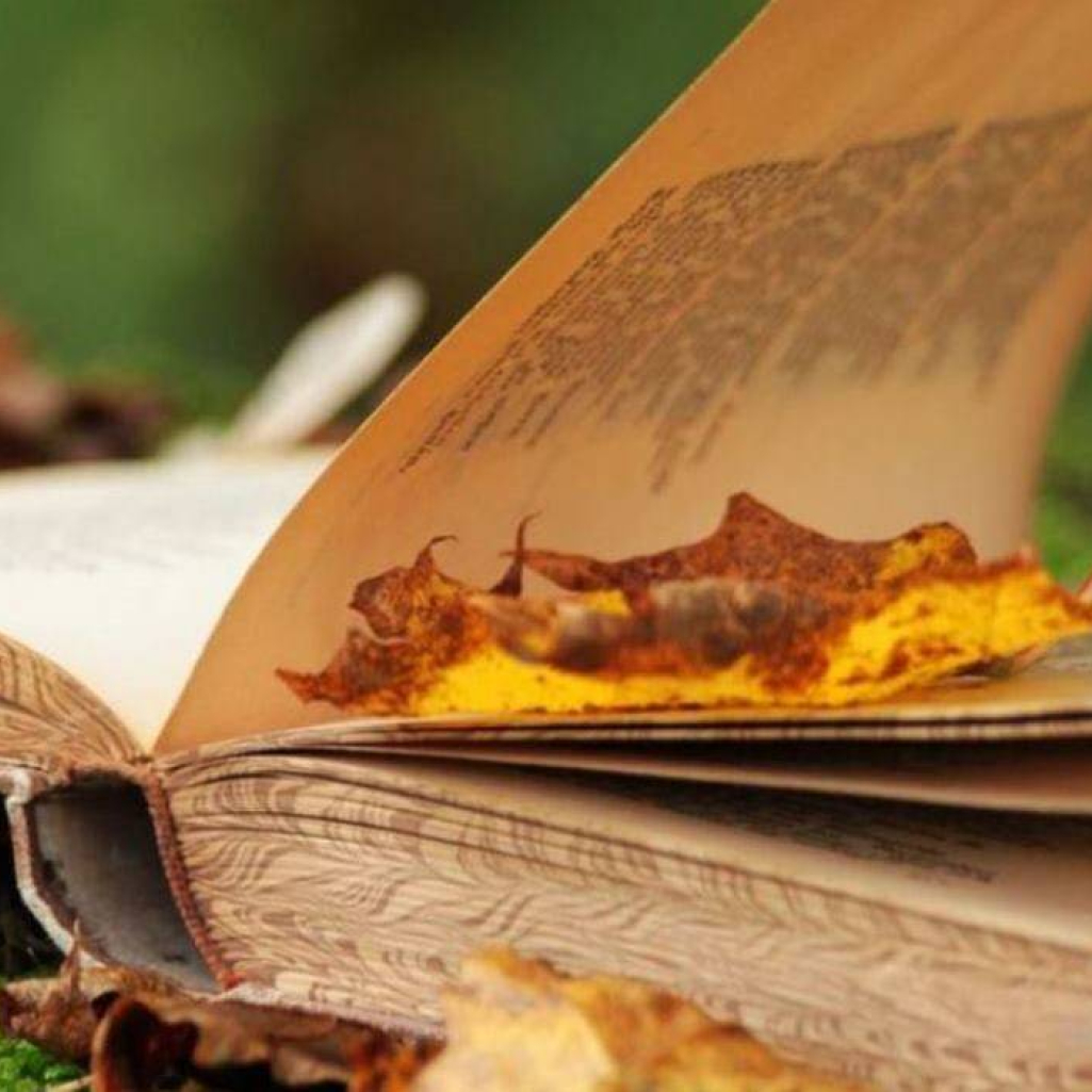 book_contest.jpg