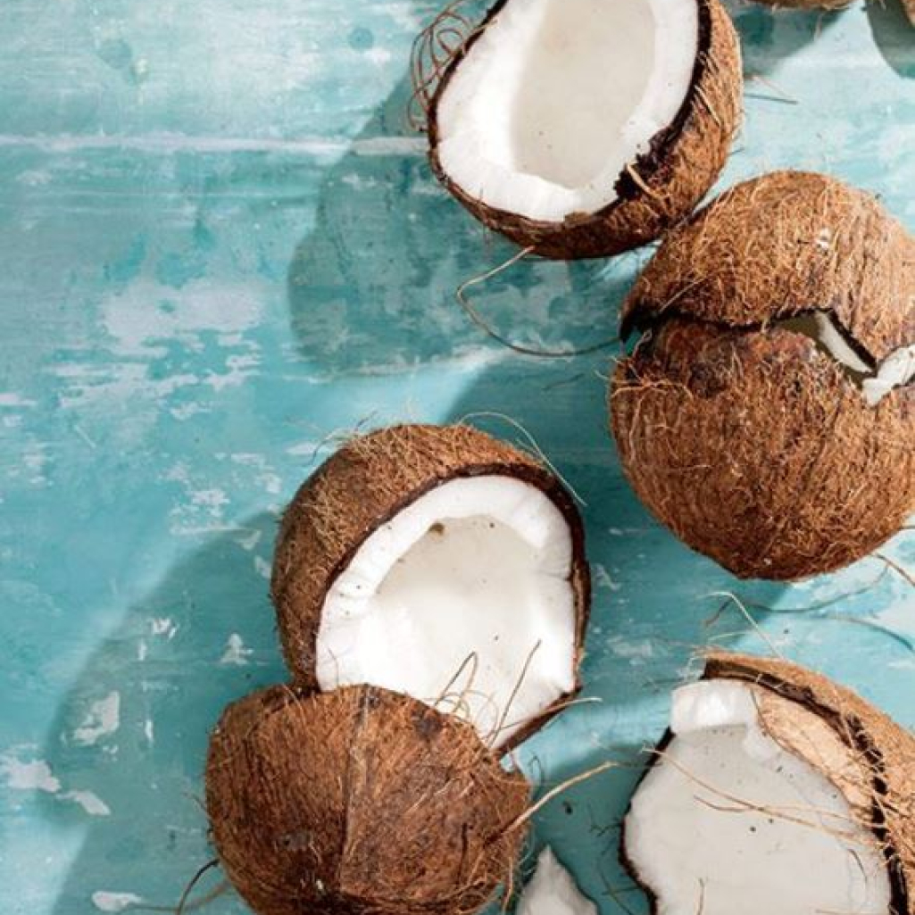 coconut-Copy.jpg
