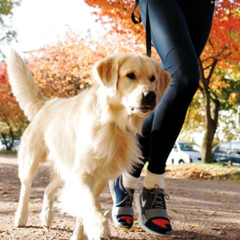 running-with-dog-1.jpg