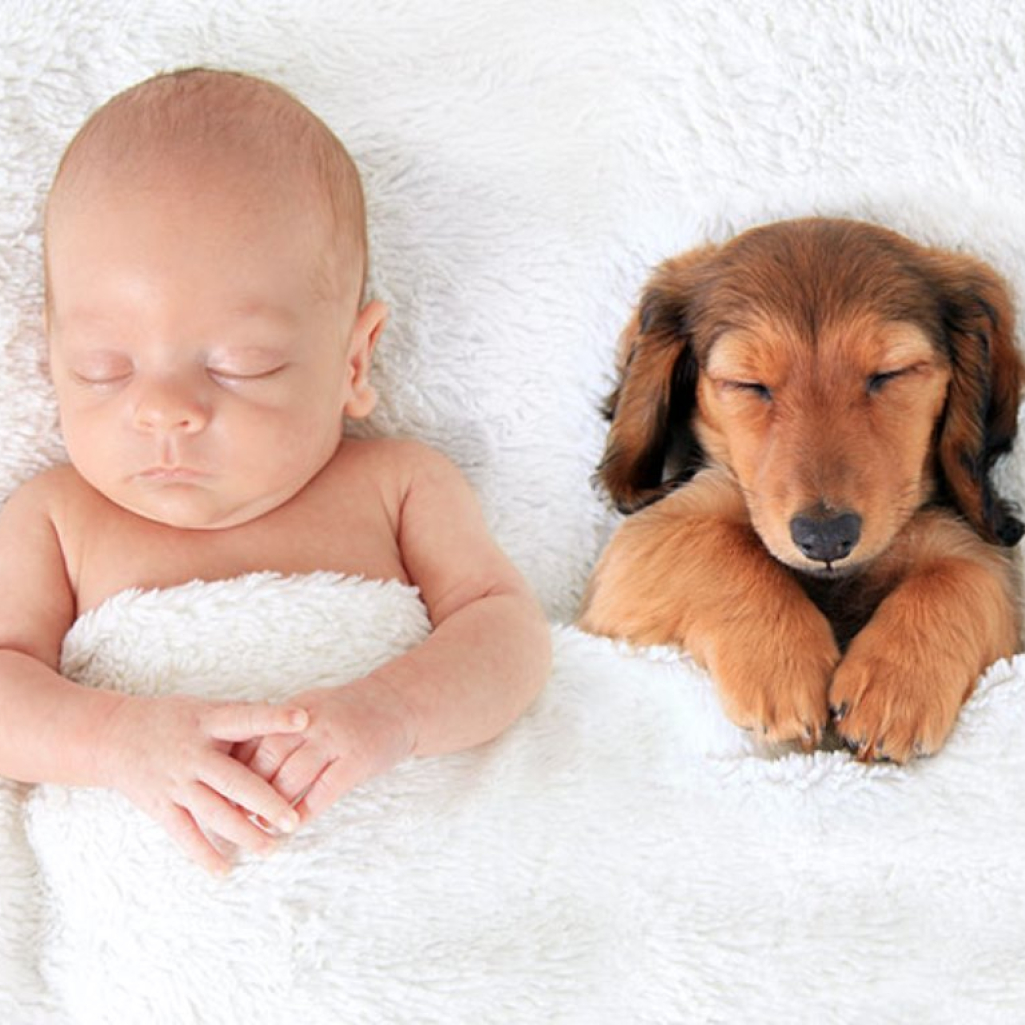 kids-dogs-sleeping-together-napping-buddies-58d904565f9be-700.jpg