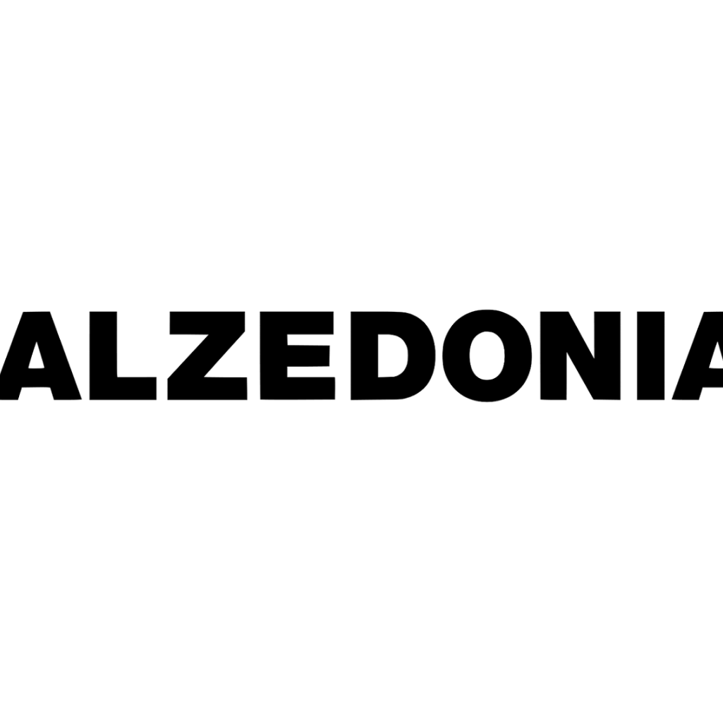 calzedonia-logo-text-wordmark54786.png