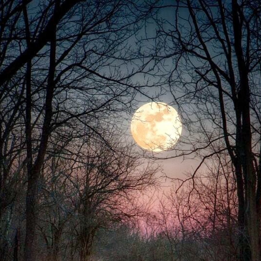 56b6596da5456af79271f8919d9aeb48-wolf-moon-blue-moon.jpg