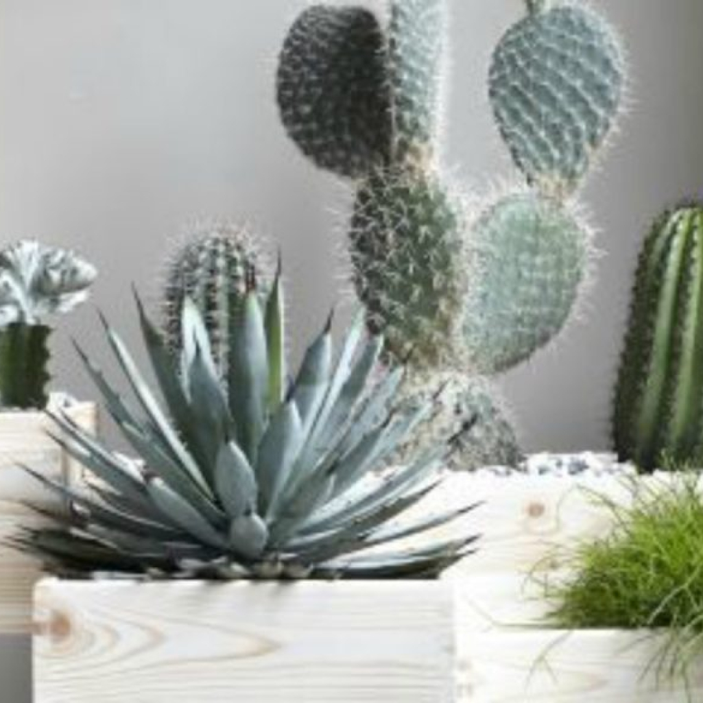 thehomeissue_luck-1024x585.jpg