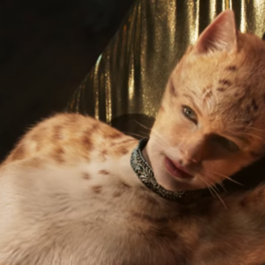 taylor_swift-cats.png