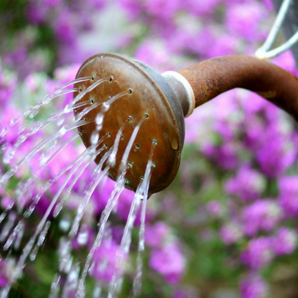 Ένας έξυπνος τρόπος για να ποτίζουμε τα φυτά μας σε χρόνο μηδέν και με ελάχιστο νερό