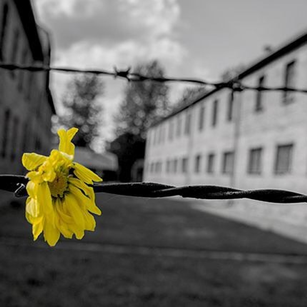 Παγκόσμια Ημέρα Μνήμης του Ολοκαυτώματος: Η φρικιαστική ιστορία πίσω από τα πειράματα ενός γιατρού σε δίδυμα του Άουσβιτς