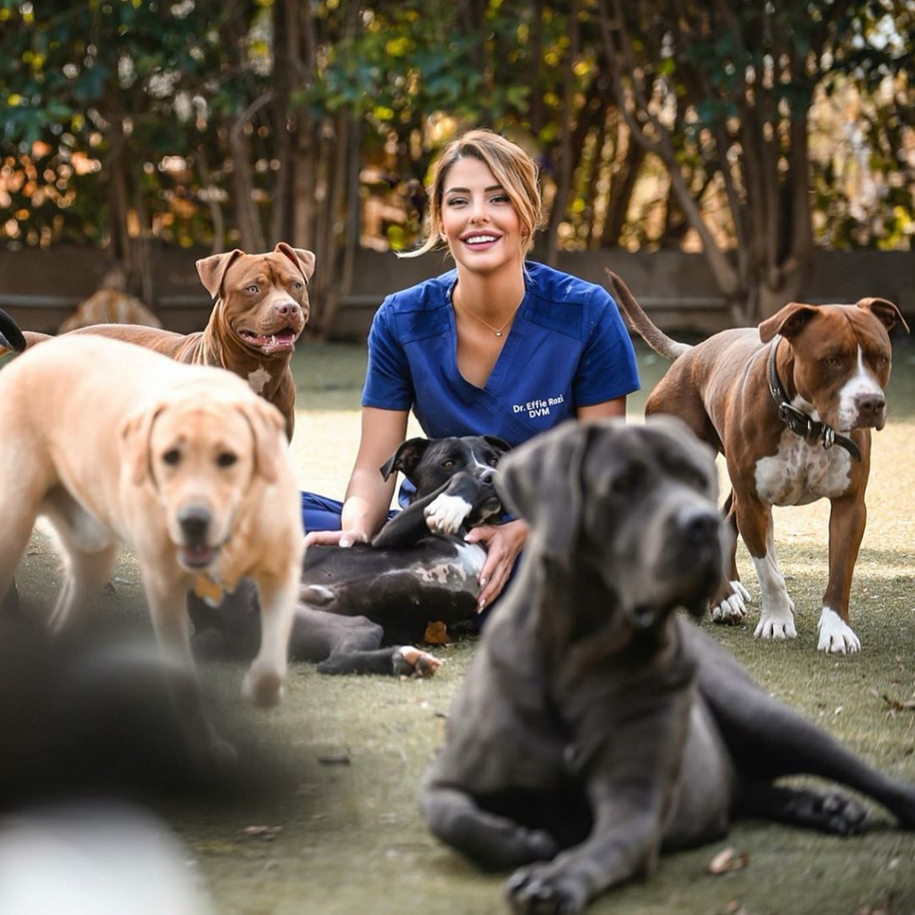 Kορωνοϊός και κατοικίδια: Η κτηνίατρος Έφη Ρόζη απαντά σε όλες μας τις απορίες