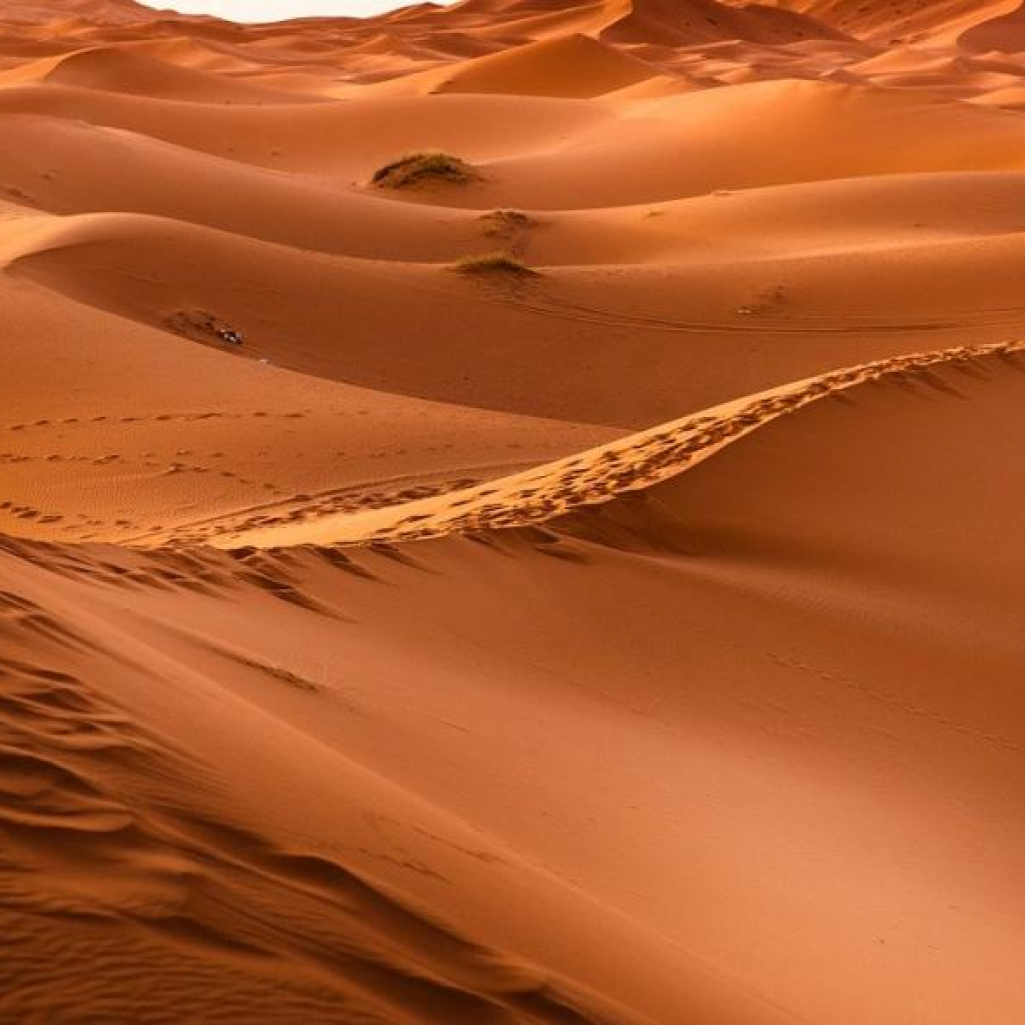 «Το πιο επικίνδυνο μέρος της Γης»: Ιπτάμενα ερπετά και τεράστια ψάρια ζούσαν στην έρημο Σαχάρα πριν από 100 εκατ. χρόνια