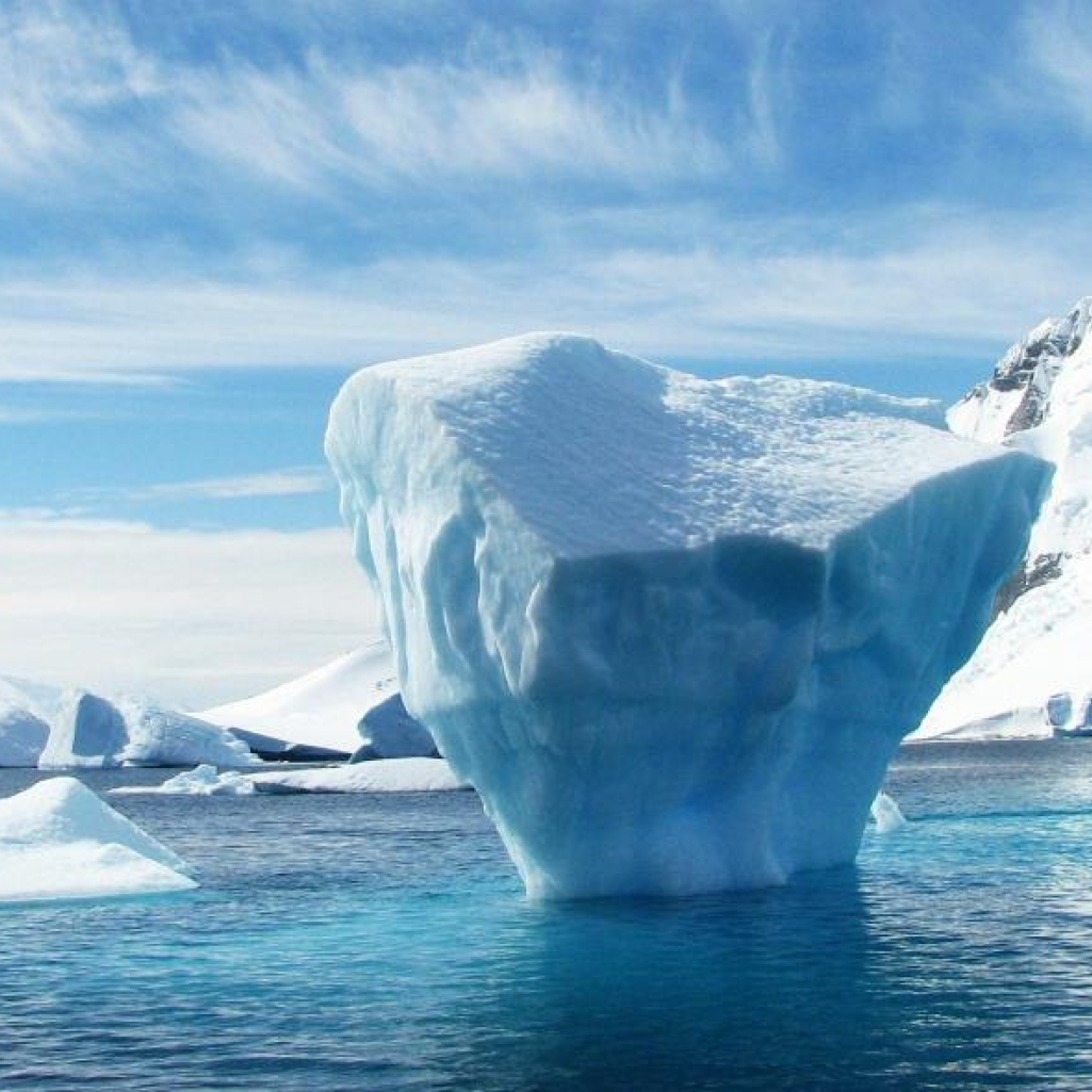 Ανταρκτική: Βρέθηκε απολίθωμα αυγού δεινοσαύρου 66 εκατομμυρίων ετών – Ανατρέπει την επικρατούσα αντίληψη