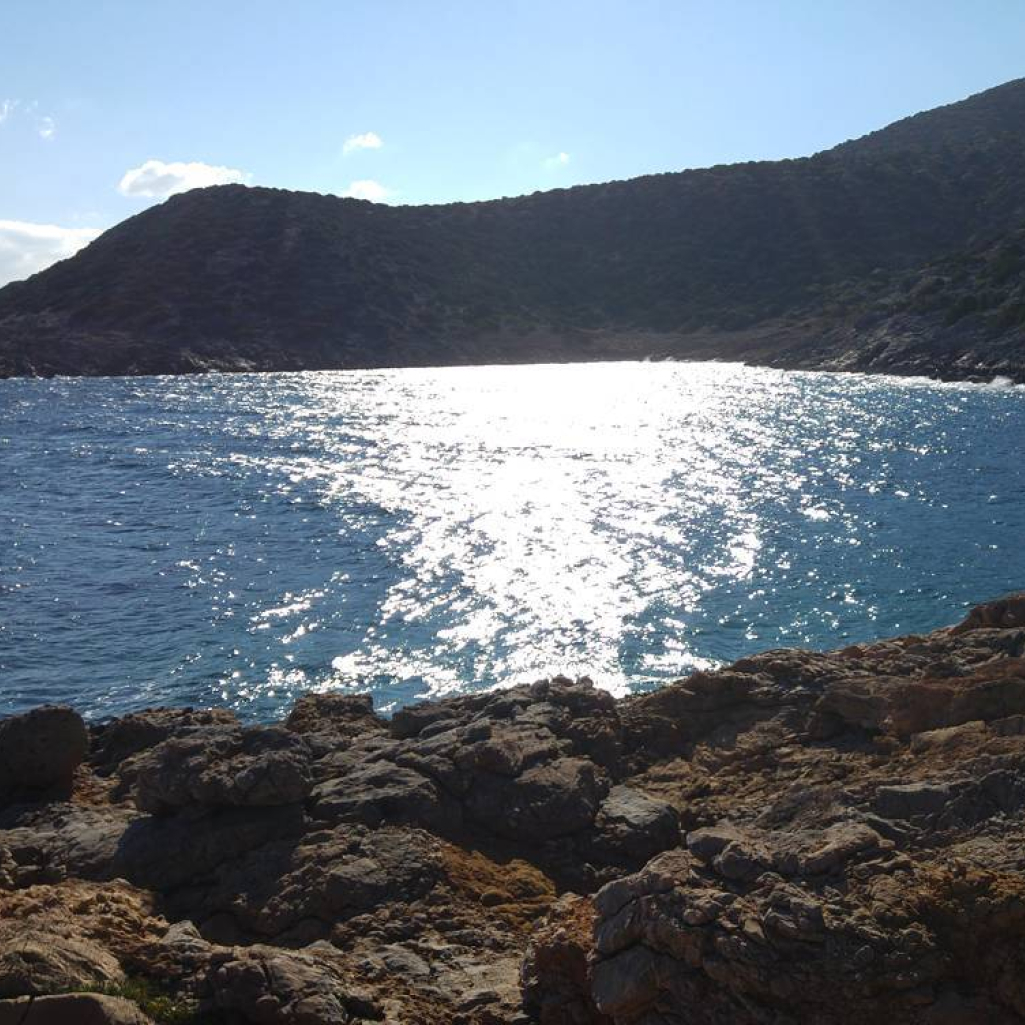 Ένας μικρός παράδεισος μόλις 40 λεπτά από το κέντρο της Αθήνας