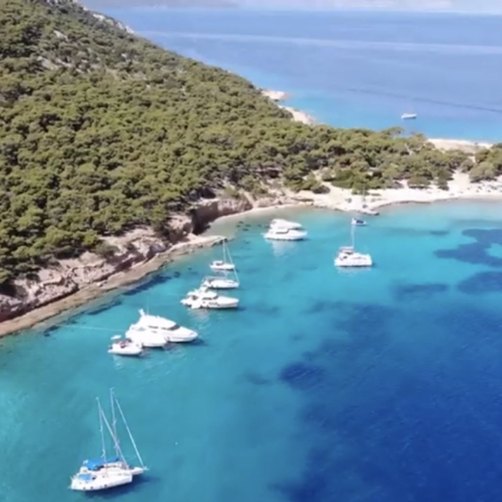 Το παραδεισένιο νησάκι του Σαρωνικού με τους ιδιαίτερους «κατοίκους»
