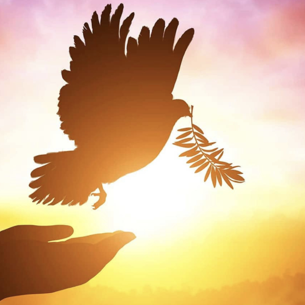 Η Παγκόσμια Ημέρα Ειρήνης γιορτάζεται φέτος στη σκιά της πανδημίας του κορωνοϊού