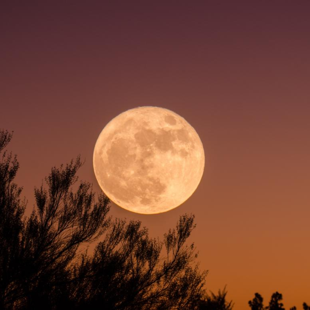 Πανσέληνος Νοεμβρίου: Από ποια σημεία του πλανήτη θα είναι ορατή η τελευταία σεληνιακή έκλειψη της χρονιάς 
