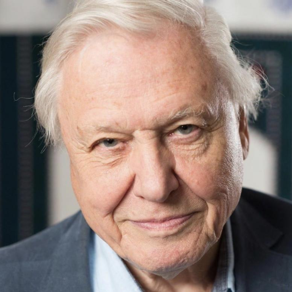 Ο David Attenborough εγκαταλείπει το Instagram μετά από έναν μήνα παραμονής και μετά το ρεκόρ του σε followers