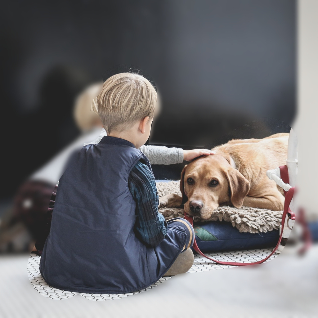 Παγκόσμια Ημέρα Αυτισμού: Πώς ένας σκύλος «έσωσε» τη ζωή ενός αγοριού με αυτισμό