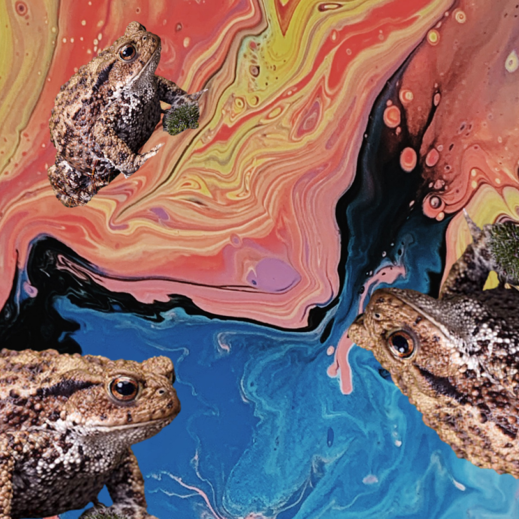 Tι έγινε και οι celebrities άρχισαν να καπνίζουν δηλητήριο βατράχων;