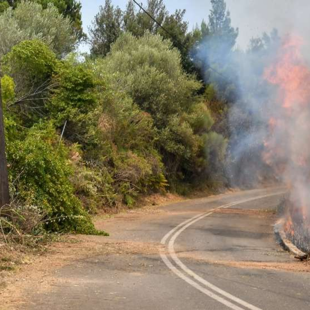 Φωτιά στην Ηλεία: Συνεχίζουν να καίνε τα τρία πύρινα μέτωπα – «Πάνω από 200.000 κατεστραμμένα στρέμματα»