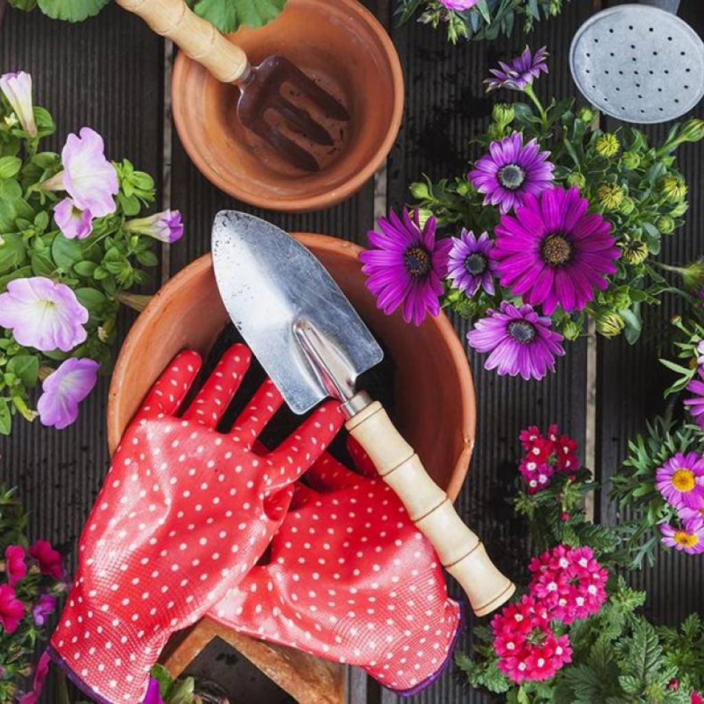 Gardenfluencers: 6 Instagram λογαριασμοί που θα σας κάνουν experts στην κηπουρική