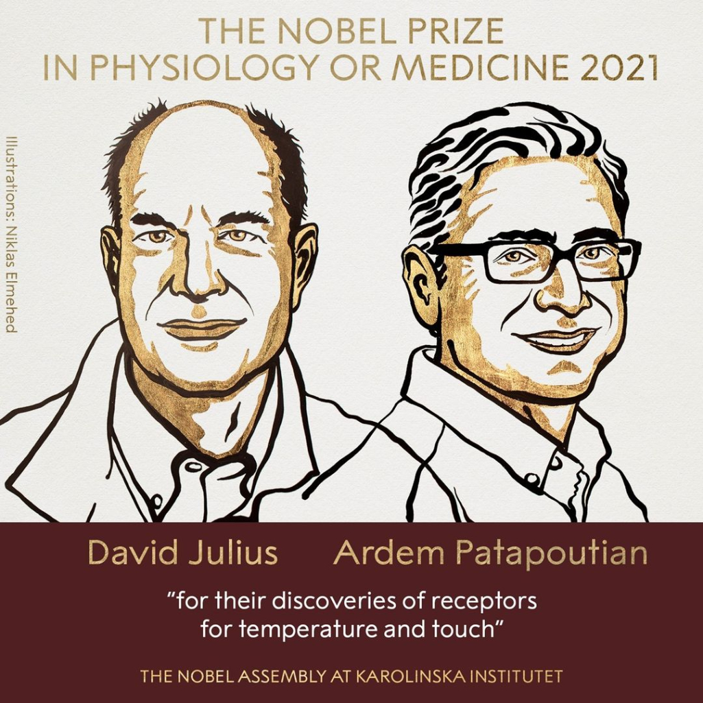 Νόμπελ Ιατρικής 2021: Απονεμήθηκε στους David Julius και Ardem Patapoutian