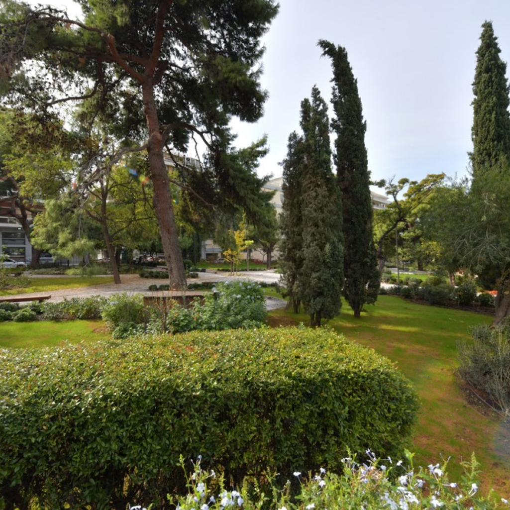 Ένας ιαπωνικός κήπος γεμίζει με πράσινο την καρδιά της Αθήνας