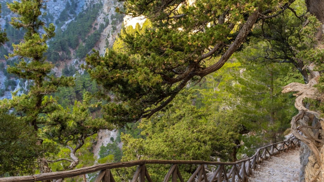 Πεζοπορία στο Φαράγγι της Σαμαριάς: Διασχίζοντας ένα από τα πιο εντυπωσιακά φυσικά τοπία της Ευρώπης