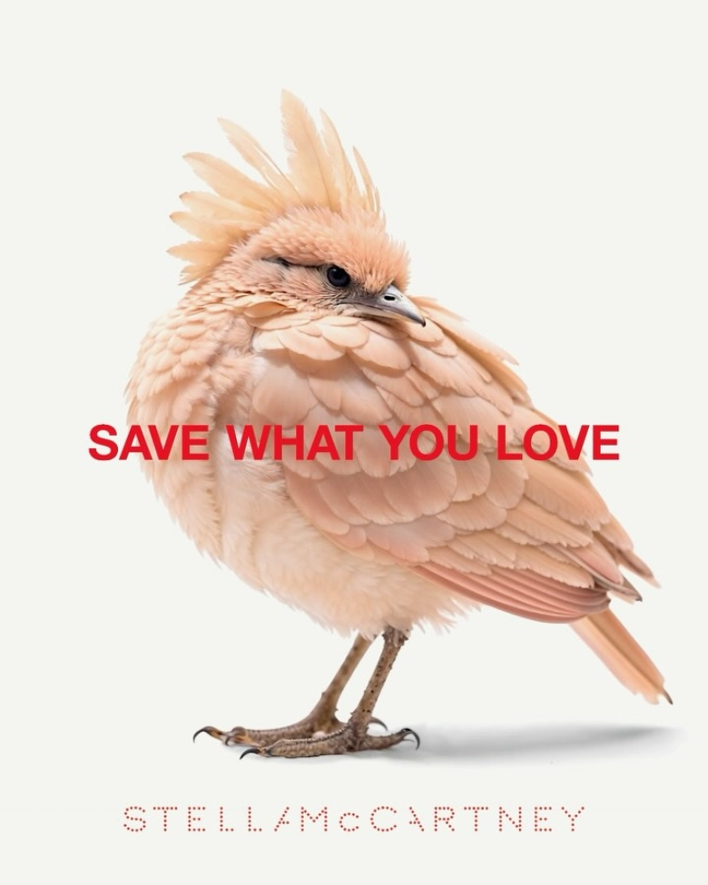 stella mccartney ai bird