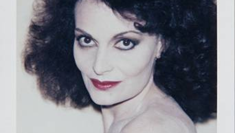 ht_warhol_diane_von_furstenberg_ll_120220_vblog1.jpg