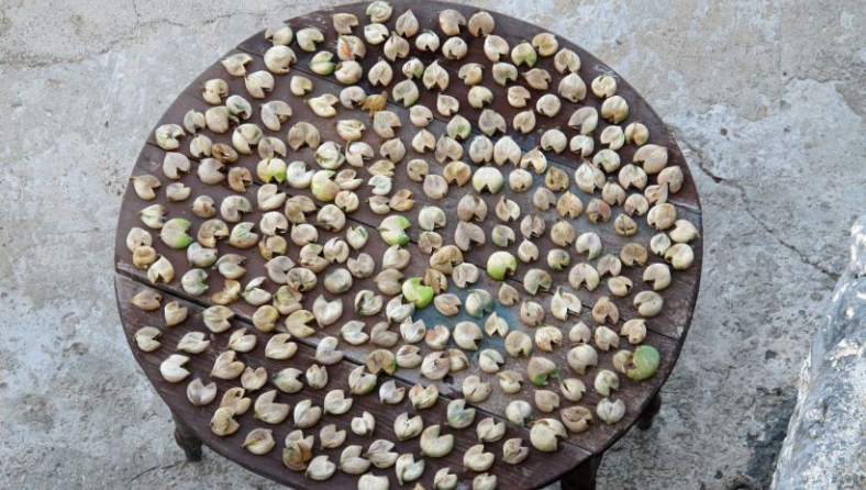h-4-figs-drying.jpg