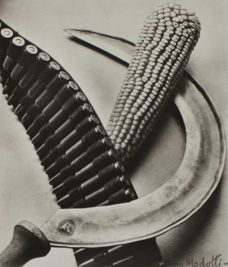 Bandolier, Corn and Sickle, 1927 by Tina Modotti.