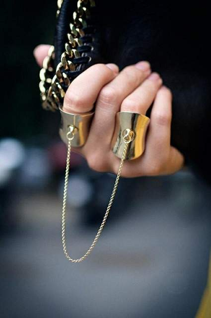 chain ring 1 