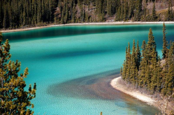 Emerald Lake  Alaska  Pic Lynn Zaik 