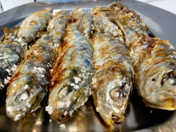 Fish