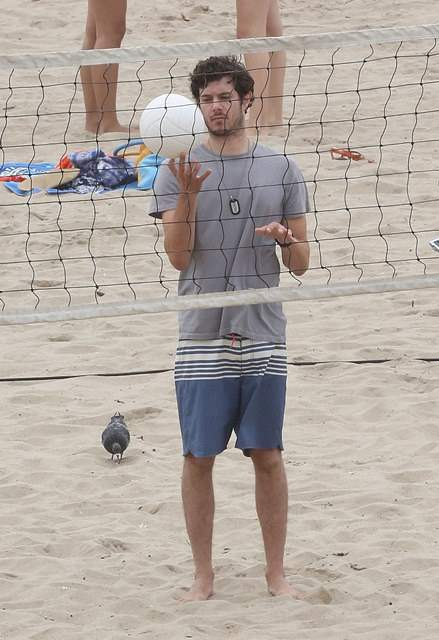 Adam Brody plays beach volleyball in Los Angeles